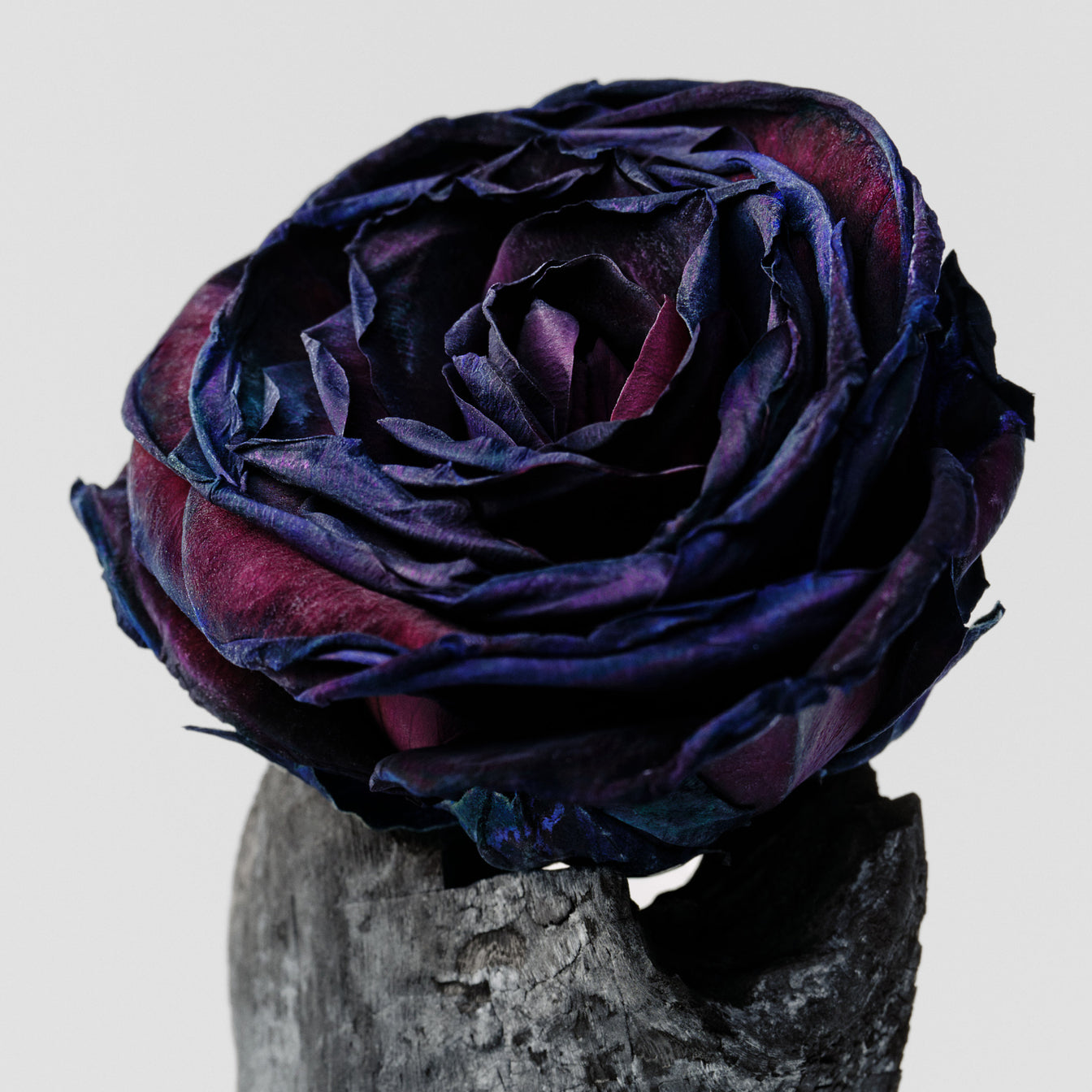 Body Mist – Black Rose & Oud